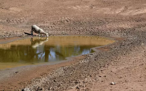  Zusätzlich zum Klimawandel durch menschengemachte Treibhausgase kommt nun das Wetterphänomen El Niño auf die Welt zu. (Symbolbild) - Foto: Dean Lewins/AAP/dpa