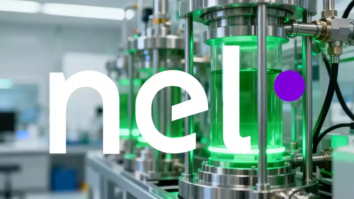Nel ASA Q2: Orders Surge 224% but Revenue Dips, CEO Exit Looms