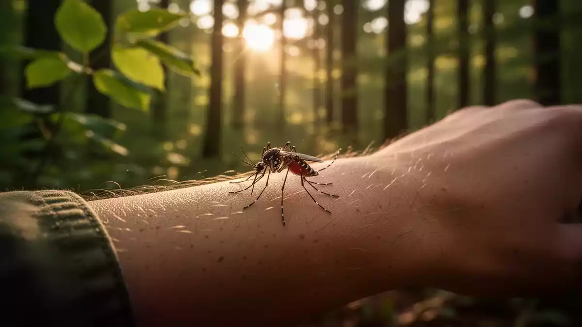 West-Nil-Virus breitet sich in Europa aus: Neue Risikogebiete in Deutschland identifiziert
