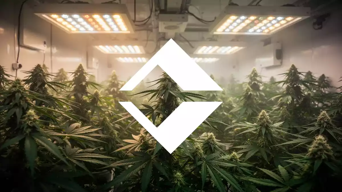 Trulieve verlegt Firmensitz in die USA und baut Cannabis-Produktion aus