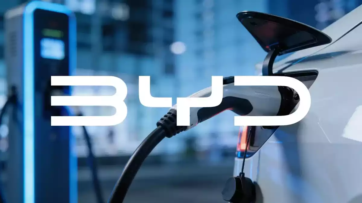 BYD Unveils New Models as China Sales Slump, Exports Surge 79%