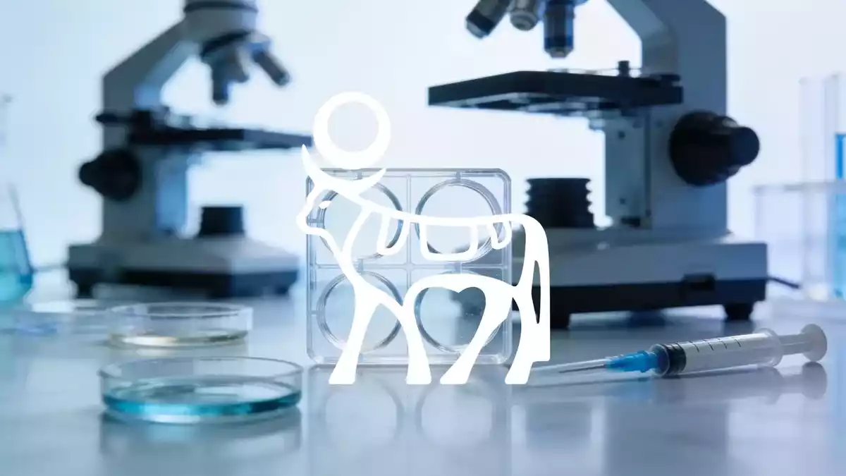 Novo Nordisk's Multi-Pronged Obesity Strategy: Oral Wegovy Trial, Legal Wins, and Buybacks
