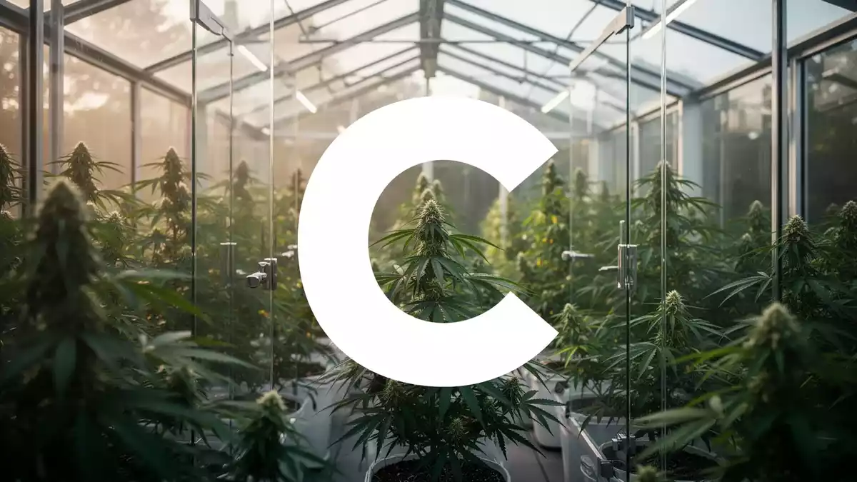 Cresco Labs Aktie: DEA-Entscheidung und Quartalszahlen treiben Kurs