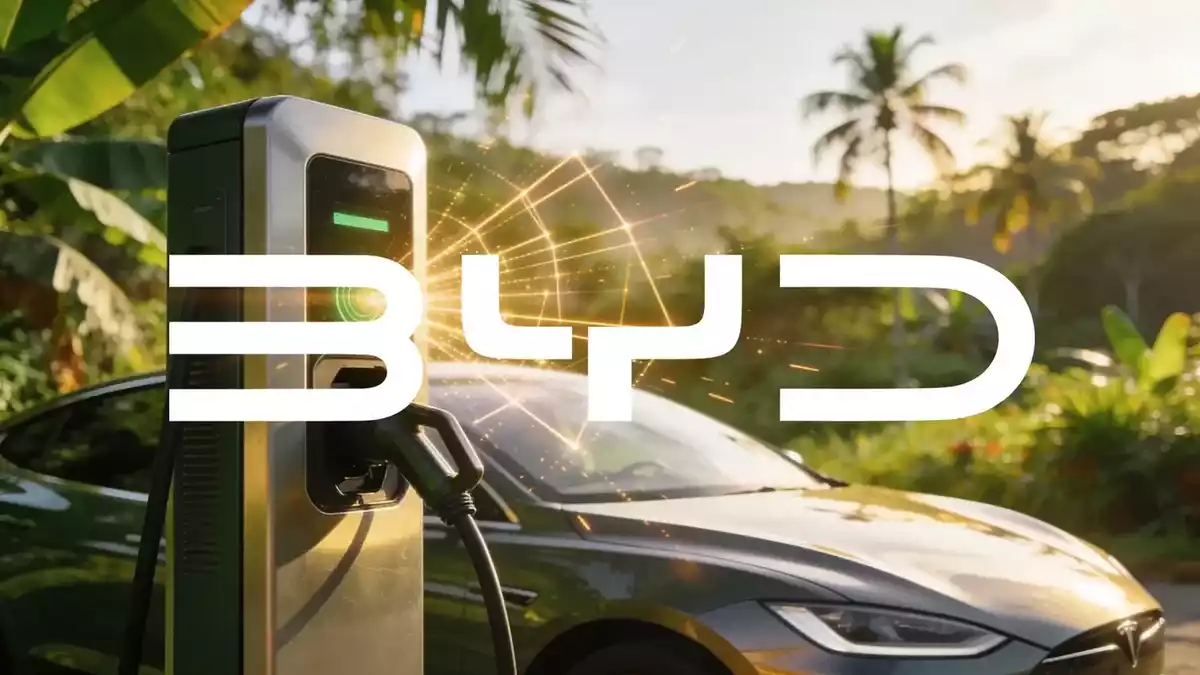 BYD H1 Results: Record Exports vs Domestic Slump, New Models Aim to Shift Momentum