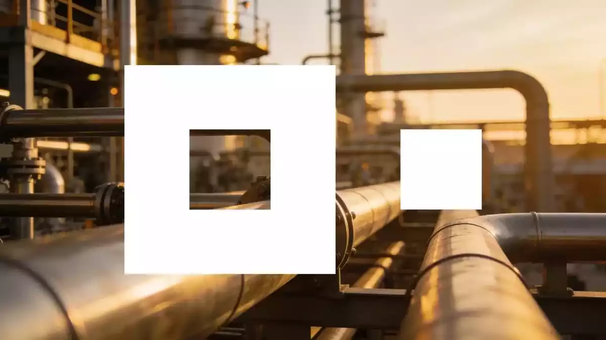 BASF Buyback, Price Hikes, and India Expansion Drive Growth