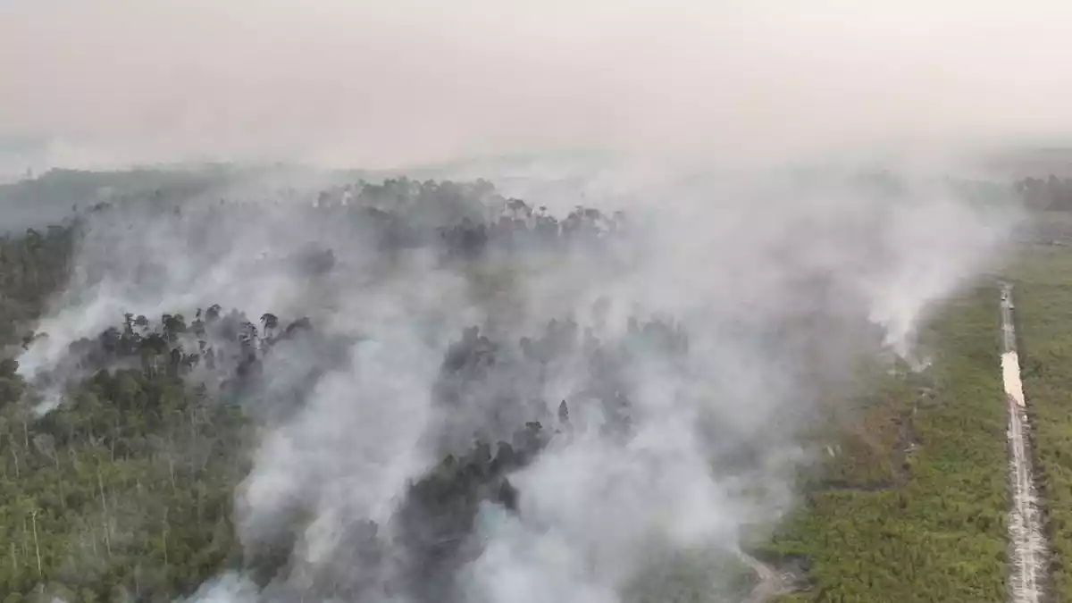 Auf Borneo wüten seit Wochen schwere Waldbrände. - Bild: -/BNPB/dpa