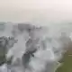 Auf Borneo wüten seit Wochen schwere Waldbrände. - Bild: -/BNPB/dpa