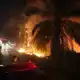 Während der Trockenzeit brechen auf Borneo immer wieder verheerende Feuer aus. - Bild: Andri Rizky Agustian/AP/dpa