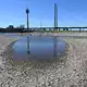 Das Niedrigwasser im Rhein bremst die deutsche Wirtschaft. (Archivbild) - Bild: Federico Gambarini/dpa