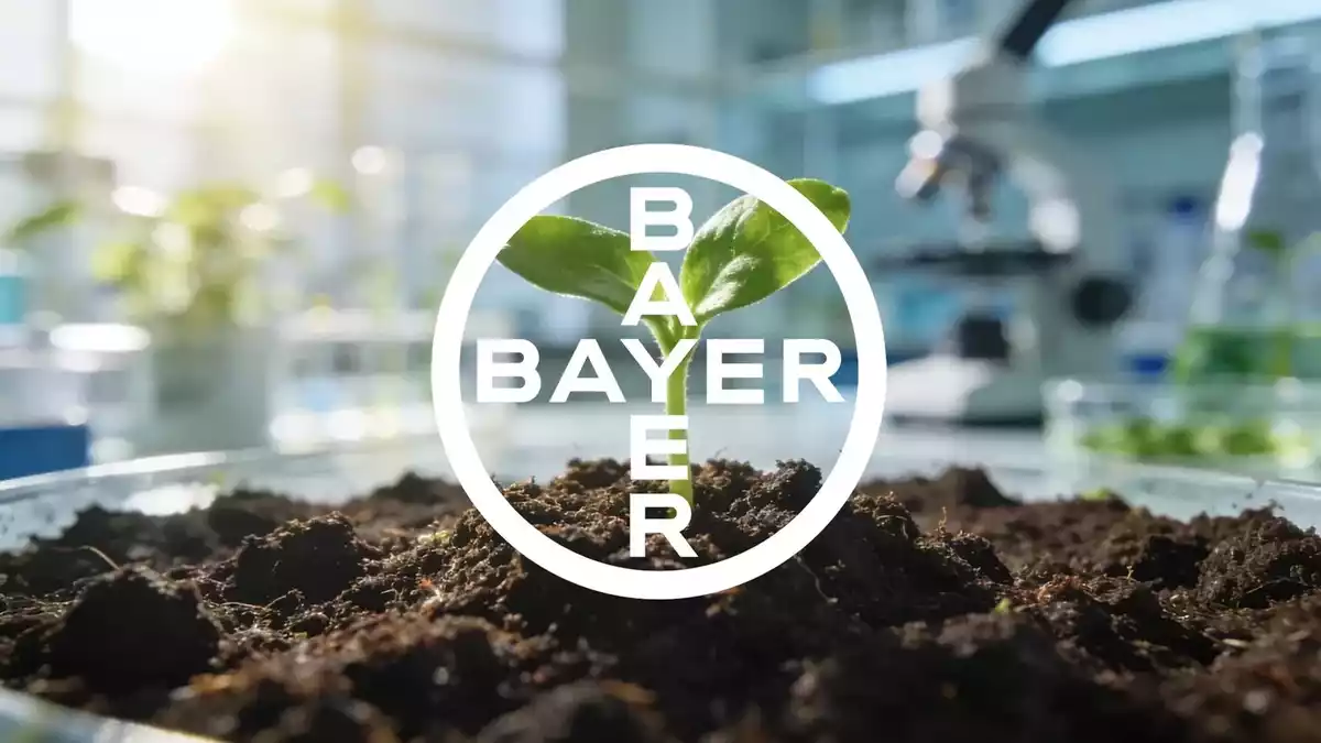 Bayer's Japan Approval for Lung Cancer Drug Hyrnuo vs. September Glyphosate Hearing