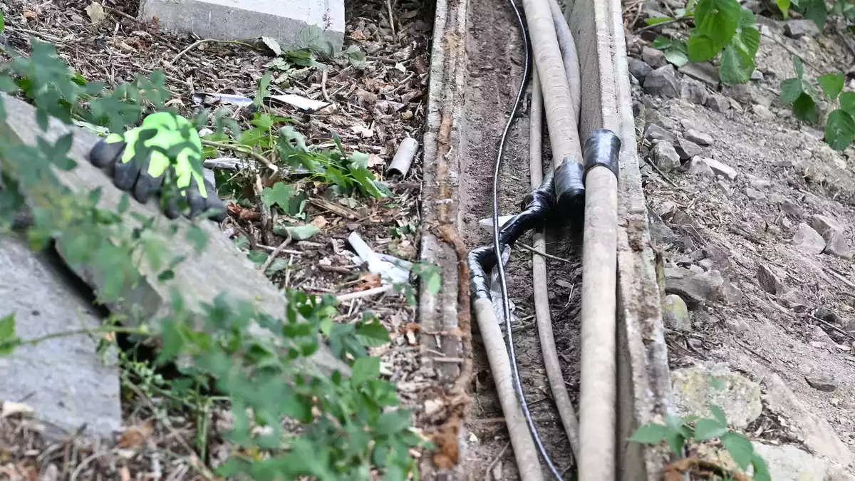 Die durchtrennten Kabel wurden am Sonntag entdeckt. - Bild: Bernd Weißbrod/dpa
