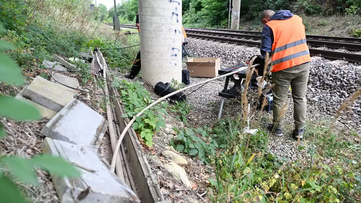 Nach der Instandsetzung fahren die Züge wieder planmäßig. - Bild: Bernd Weißbrod/dpa