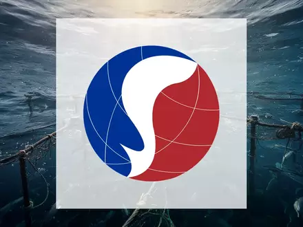 Abstrakte Aufnahme von klarem, tiefblauem Meerwasser mit einfallendem Sonnenlicht als Symbol für nachhaltige Aquakultur. - Foto: über boerse-global.de