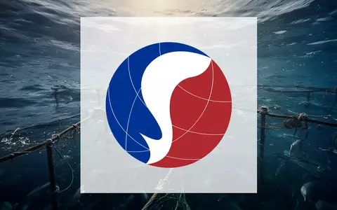 Abstrakte Aufnahme von klarem, tiefblauem Meerwasser mit einfallendem Sonnenlicht als Symbol für nachhaltige Aquakultur. - Foto: über boerse-global.de