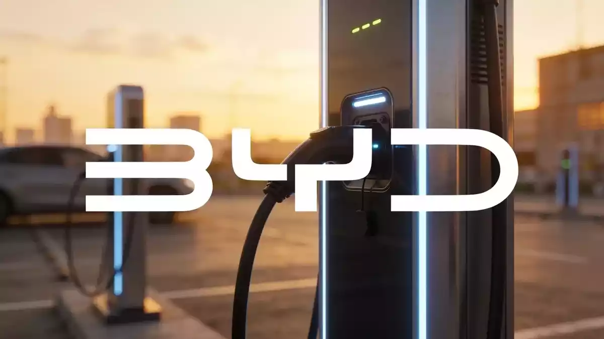 BYD Q2 Earnings: Can Export Surge Offset Domestic Price War?