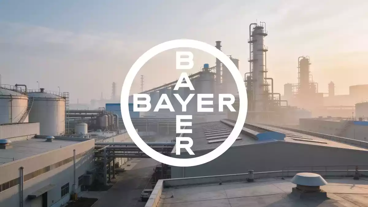 Bayer Stock Split: Bullish Targets vs. Jefferies' 46-Euro Warning