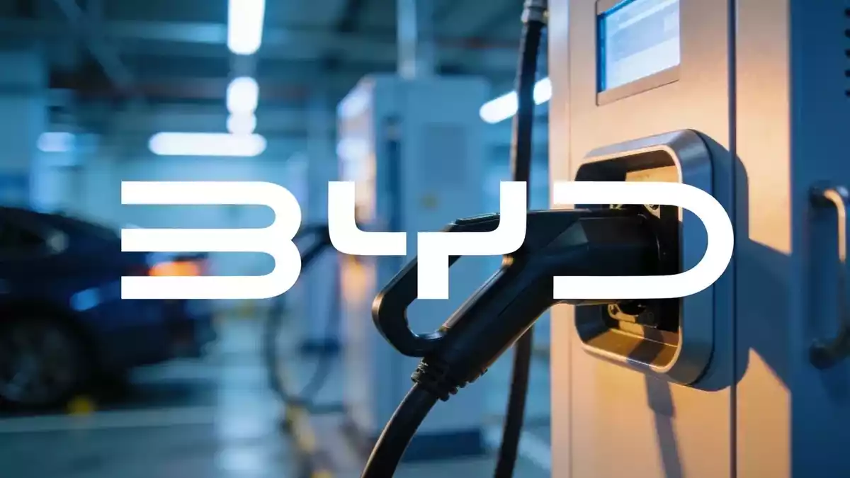 BYD Da Han Launch, Record Exports, and Stock Rebound Ahead of H1 Results