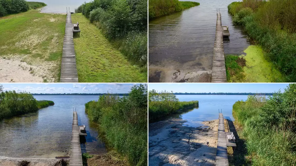 Hier ist eine Badestelle am Ufer des Arendsees in der Altmark zu sehen - im Jahr 2023 (oben links), 2024 (oben rechts), 2025 (unten links) und 2026 (unten rechts).  - Bild: Klaus-Dietmar Gabbert/dpa