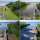 Hier ist eine Badestelle am Ufer des Arendsees in der Altmark zu sehen - im Jahr 2023 (oben links), 2024 (oben rechts), 2025 (unten links) und 2026 (unten rechts).  - Bild: Klaus-Dietmar Gabbert/dpa