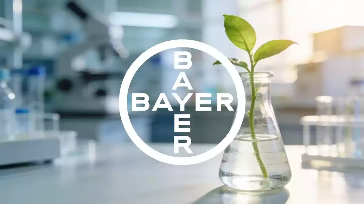 Bayer Stock Rises on Japan Drug Approval, Glyphosate Hearing Looms