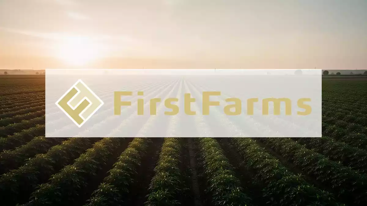First Farms senkt Jahresziele erneut: Dürre und Schweinepreise belasten