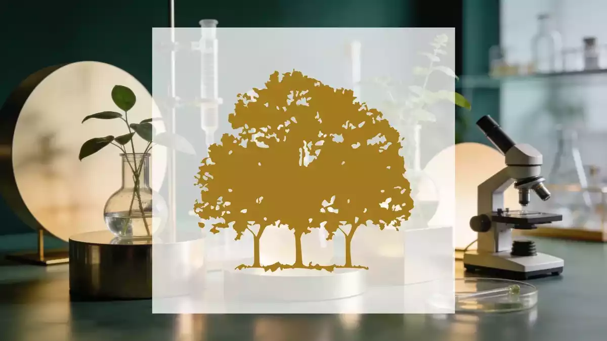 Canopy Growth: Insider-Verkauf, starkes Quartal und EU-GMP-Zertifikat als Stimmungsbild