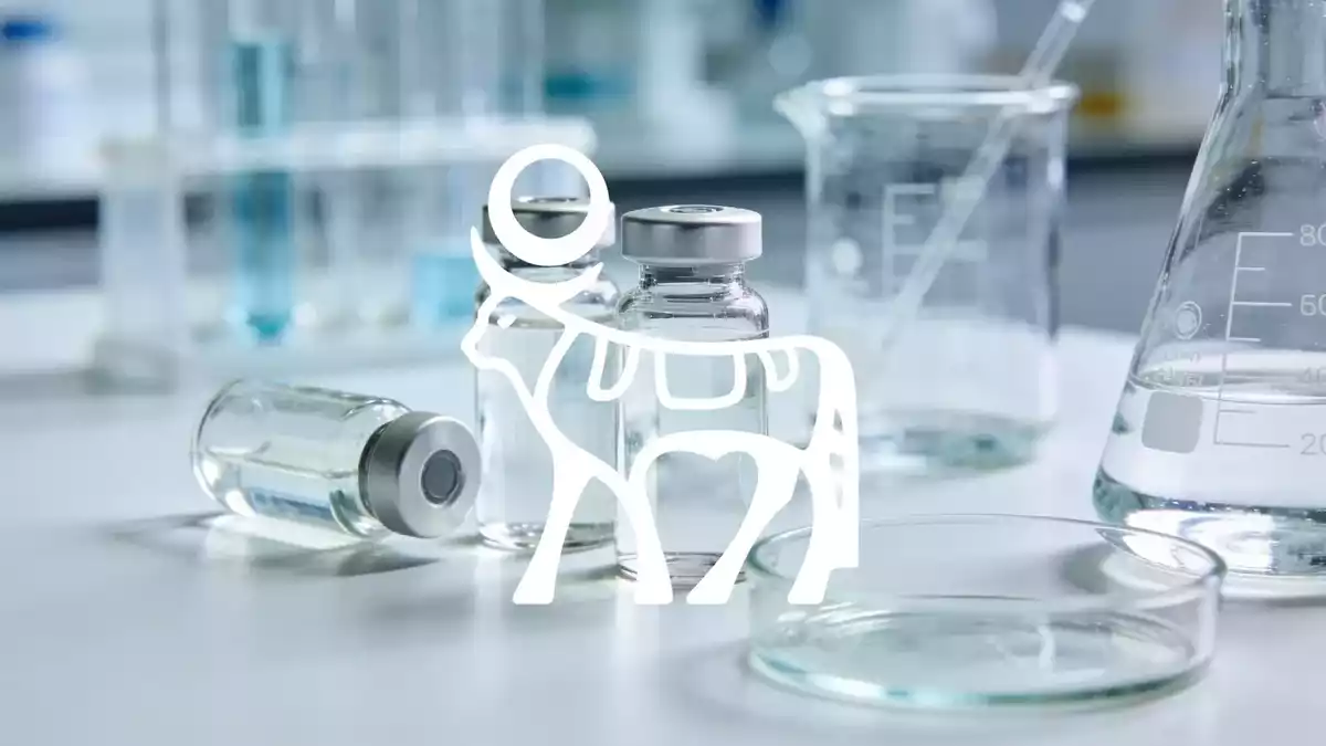 Novo Nordisk Stock Steady at €41 as Analysts Split on Wegovy Oral Pipeline