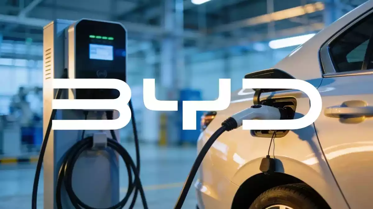 BYD Q2 2026 Earnings Preview: Exports Surge, Price War Weighs