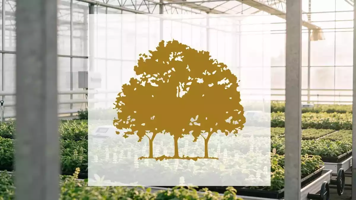 Canopy Growth Narrows EBITDA Loss, Stock Falls Below Key Moving Average