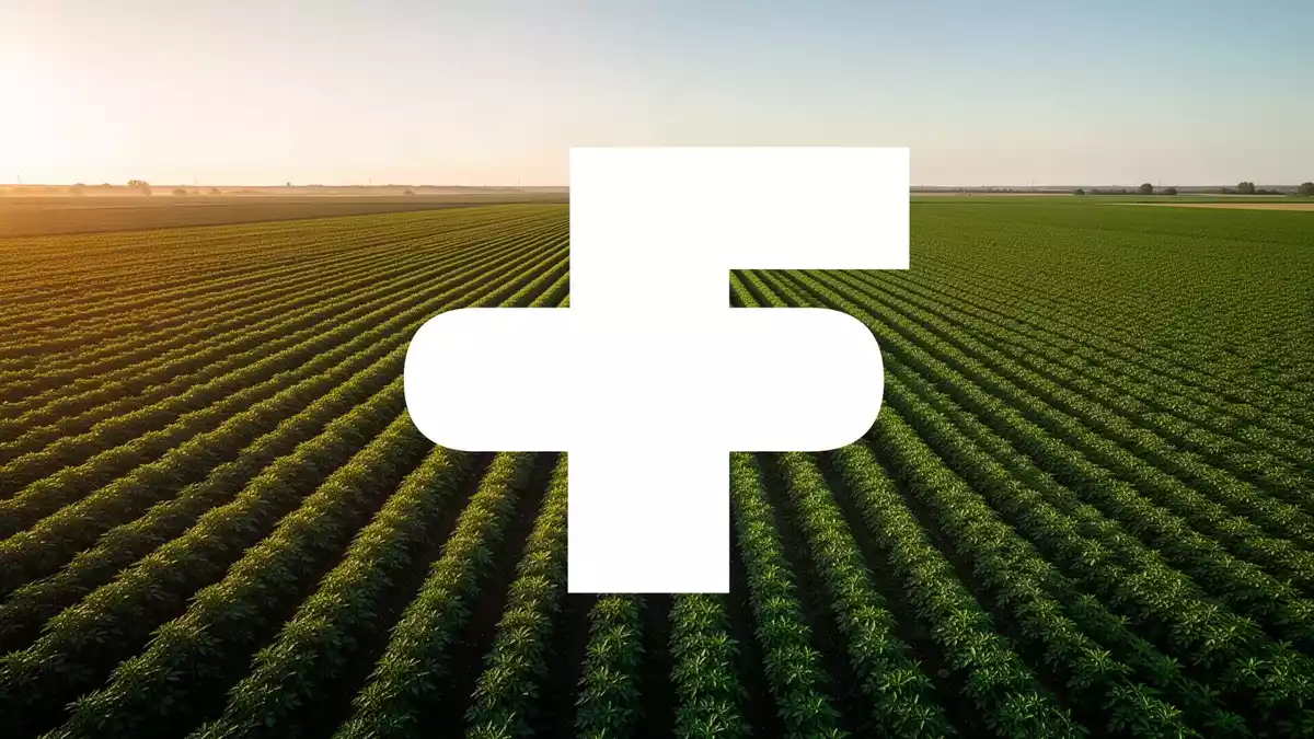 FMC Corporation: Indien-Verkauf und Carbosulfan-Verbot belasten Agrarchemie-Riese