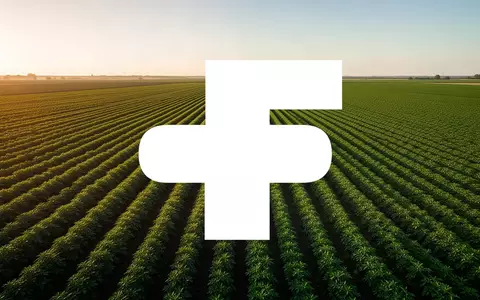 Weites, grünes Agrarfeld im goldenen Licht als Symbol für den internationalen Agrarsektor und Markttransaktionen. - Foto: über boerse-global.de