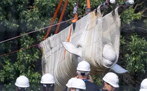 Mit aufwendigem Transport wurden die Tiere umgesiedelt. (Archivbild) - Foto: Carlos Osorio/The Canadian Press via AP/dpa