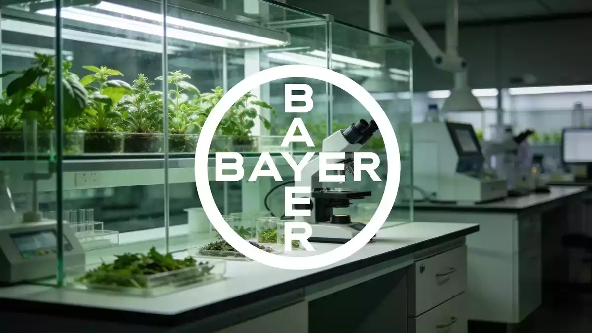 Bayer Q2 2026: Apollo Deal Cuts Debt, Glyphosate Hearing Delayed
