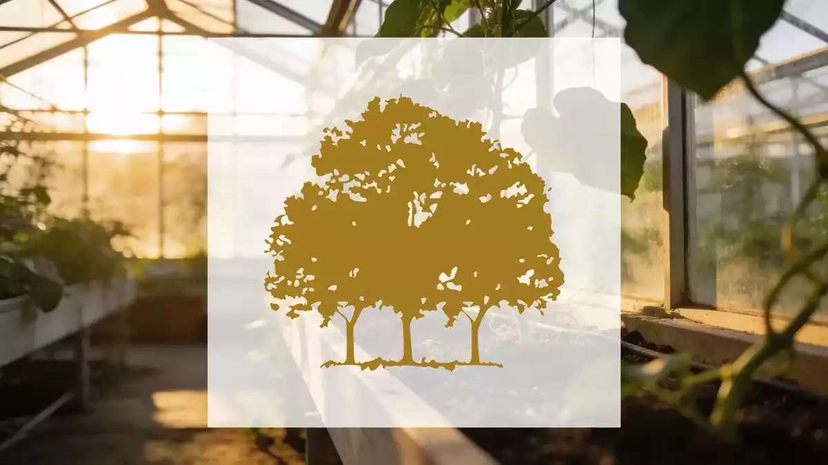 Canopy Growth: Refinanzierung und EU-Zertifikat als Überlebensstrategie