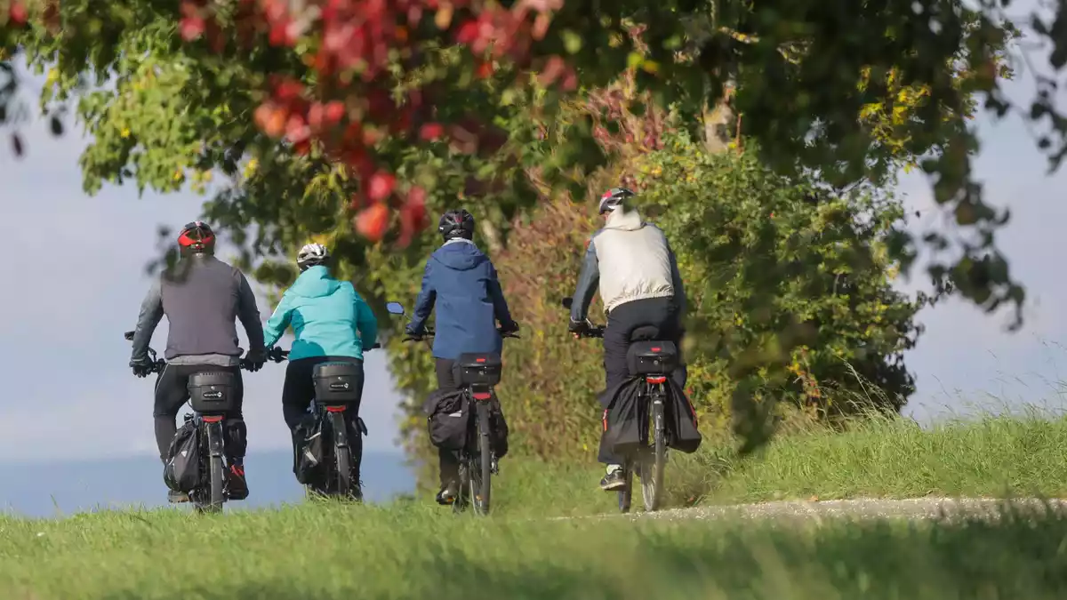 Radfahren im Herbst - Bild: Thomas Warnack/dpa