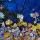 Im Herbst zeigt sich die Natur bunt  - Bild: Patrick Pleul/dpa