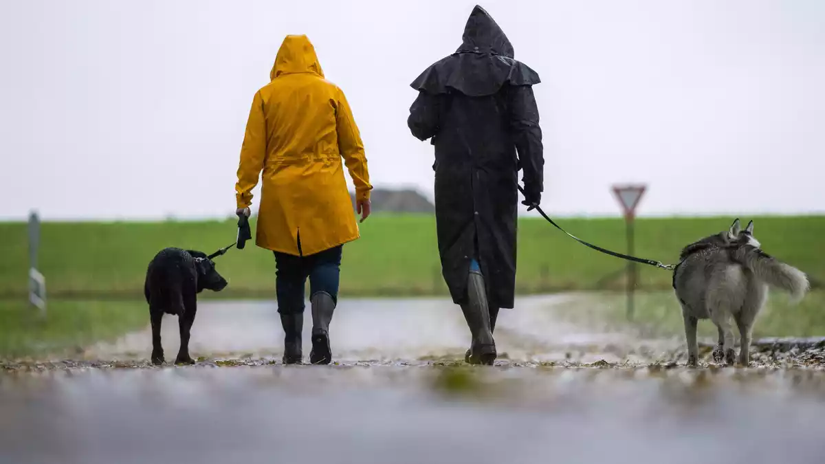 Der Herbst ist wieder die Zeit für Mäntel und Regenjacken  - Bild: Mohssen Assanimoghaddam/dpa