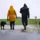 Der Herbst ist wieder die Zeit für Mäntel und Regenjacken  - Bild: Mohssen Assanimoghaddam/dpa