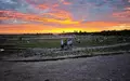 Tempelhofer Feld (Archiv) - Foto: via dts Nachrichtenagentur