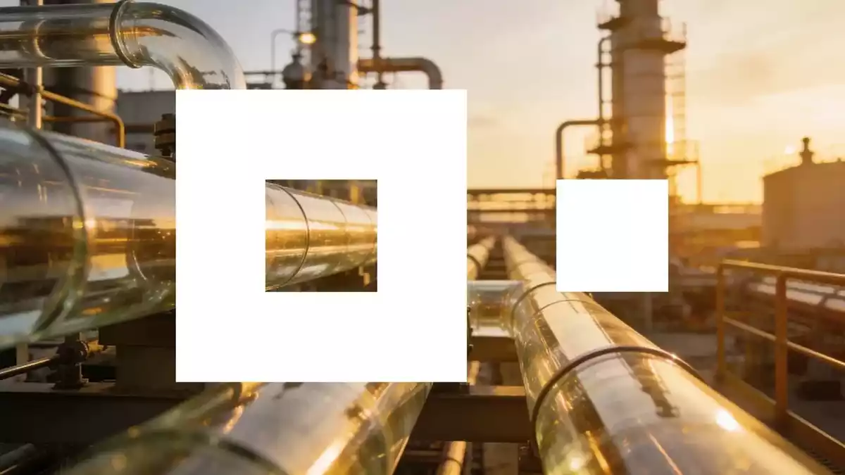 BASF Faces Apprenticeship Cuts Amid Restructuring and Strong Q2 Results