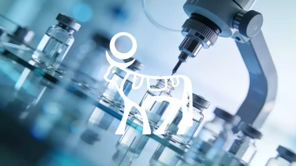Novo Nordisk vs Eli Lilly: Obesity Drug Race Shifts as CagriSema Falls Short