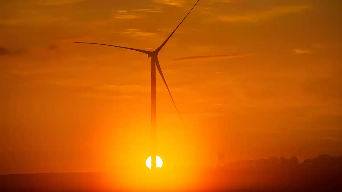 Vorhandene Windkraft war ein Standortfaktor für den Aufbau eines Rechenzentrums in Dummerstorf bei Rostock. (Archivbild) - Bild: Jens Büttner/dpa-Zentralbild/dpa