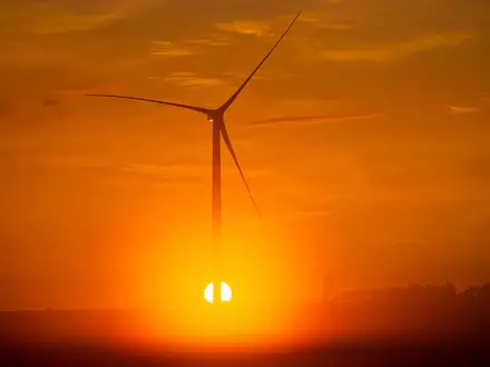 Vorhandene Windkraft war ein Standortfaktor für den Aufbau eines Rechenzentrums in Dummerstorf bei Rostock. (Archivbild) - Foto: Jens Büttner/dpa-Zentralbild/dpa