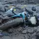 Die Flut hat alles mitgerissen, was ihr im Weg stand. - Bild: Niranjan Shrestha/AP/dpa
