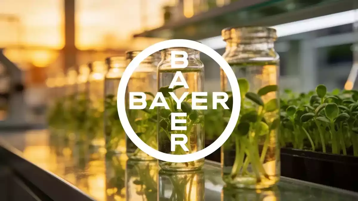 Bayer Pharma Pipeline Advances in Asia Ahead of Roundup Settlement Hearing