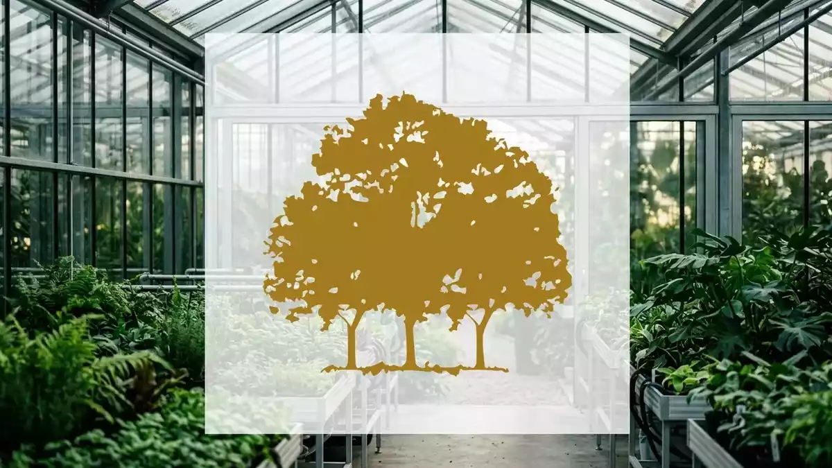 Canopy Growth Q1 Shows Progress, But Stock Lags Amid Cash Burn and Split Vote
