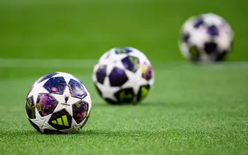 In der Champions League rollt ab dem 8. September wieder der Ball. - Foto: Tom Weller/dpa