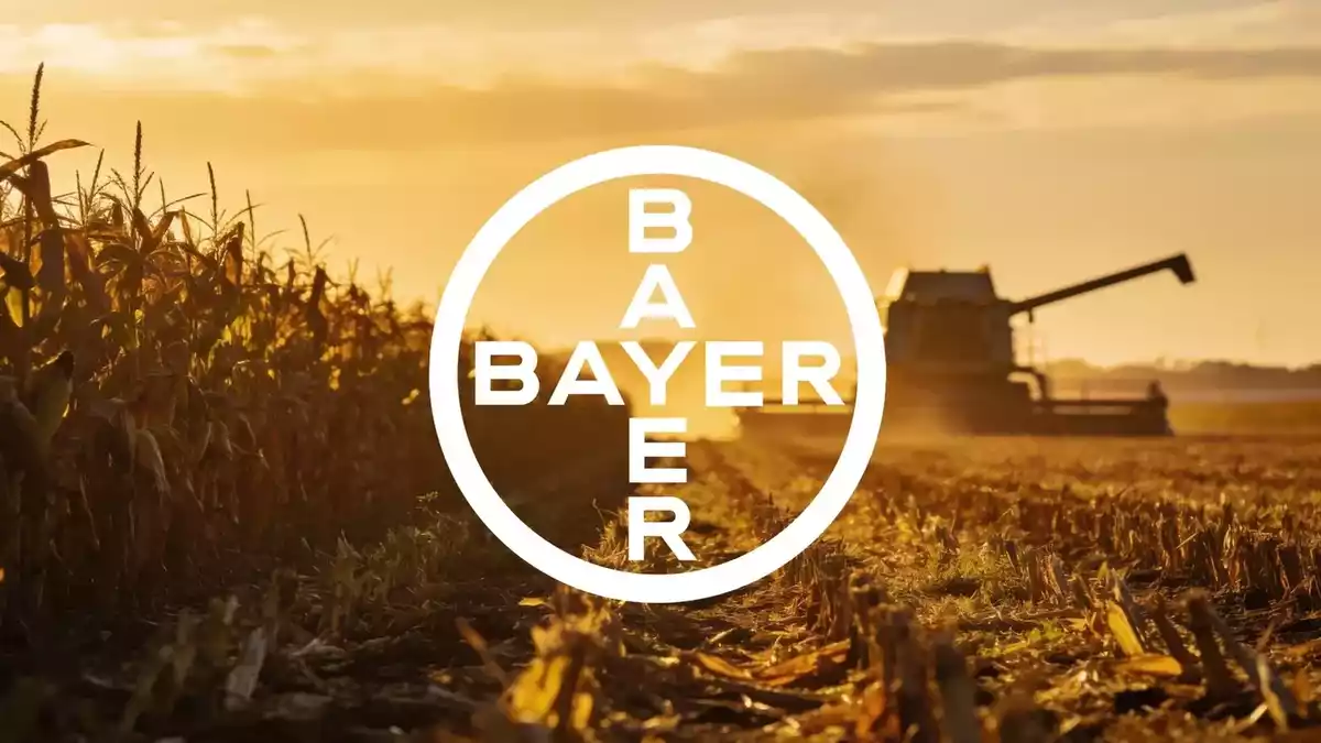 Bayer Gains Regulatory Wins in Asia, Eyes ESC Data and Legal Hearing