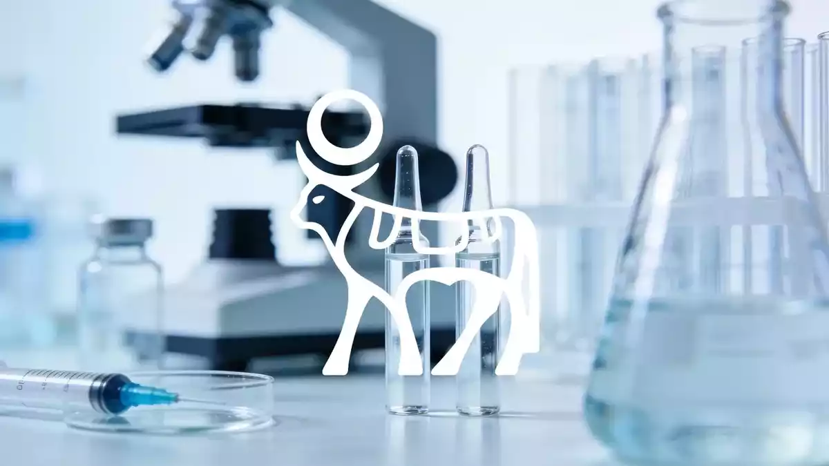 Novo Nordisk Wegovy Pill China Review Amid Patent Cliff Concerns