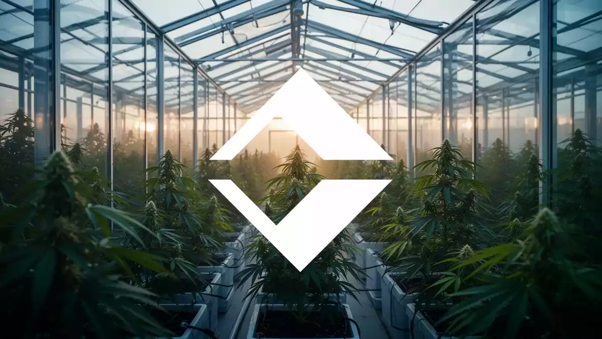 Trulieve Cannabis: NYSE-Debüt, Gewinnplus und niedrigere Cashflow-Prognose
